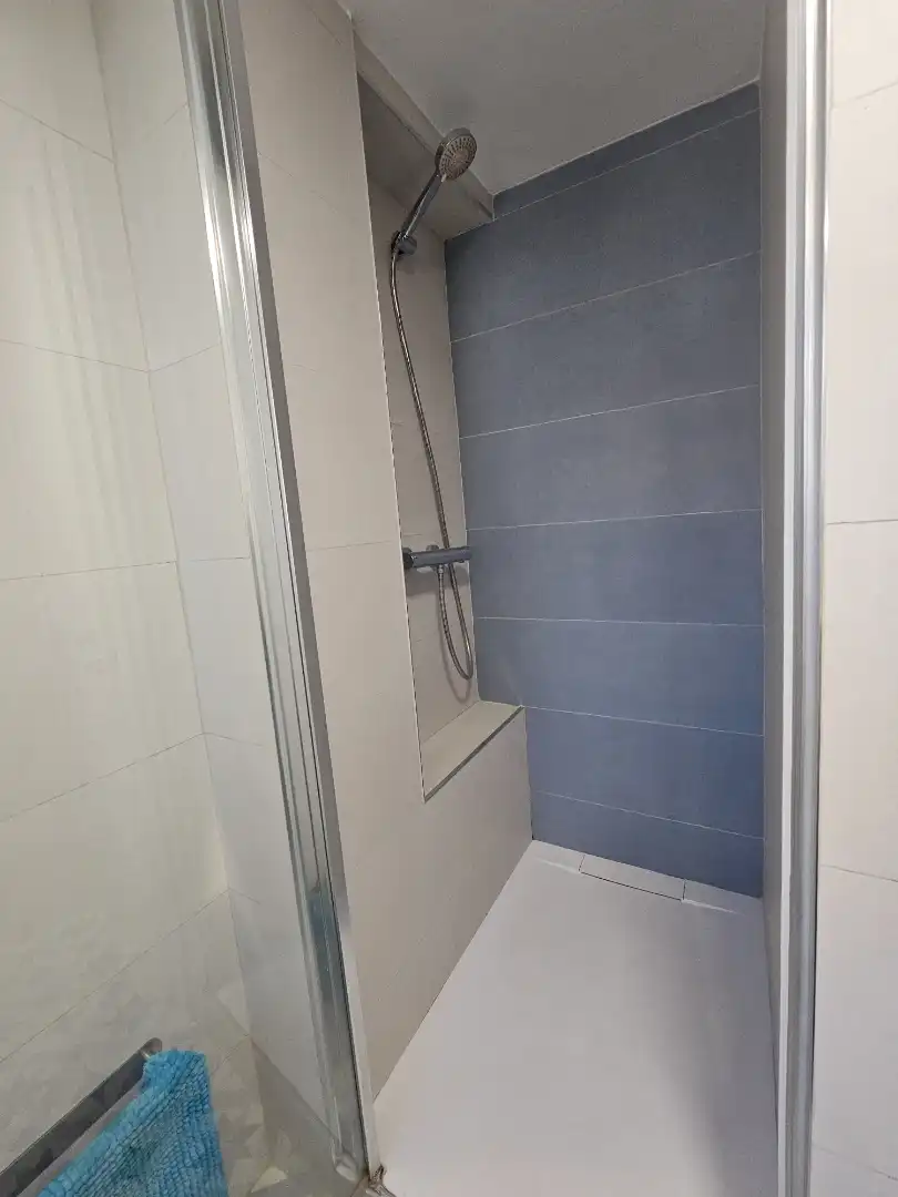 Bathroom of Attic for sale in Casco Antiguo