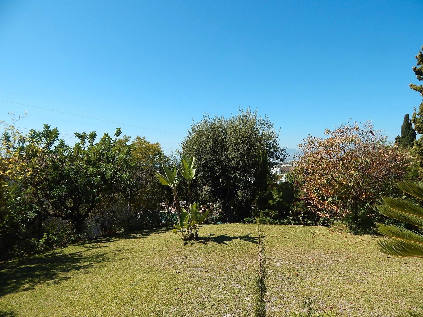 Jardí de Residencial en venda en Marbella