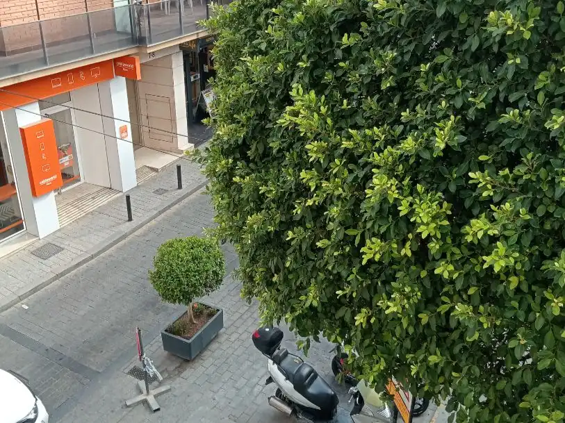 Appartement à louer à Plaza Lillo canovas 1, imagen 2