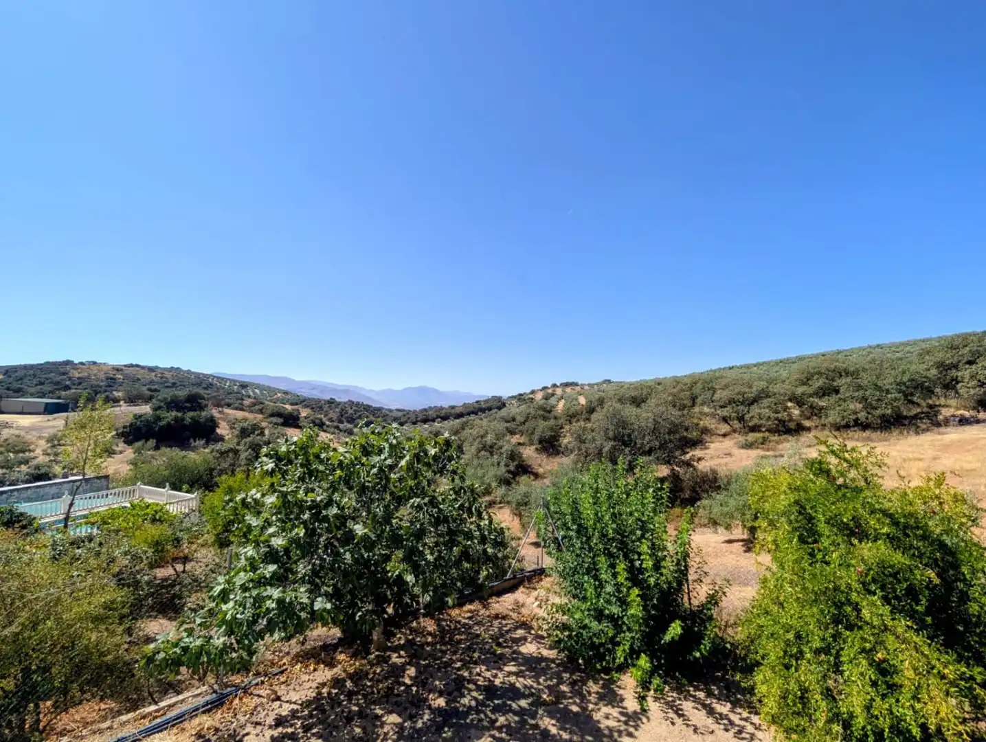 Casa rústica amb piscina en venda a Venta Salinas, imagen 73
