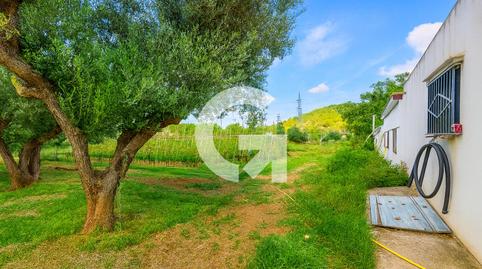 Foto 2 de Finca rústica en venta en Cl Montsec, Mas Trader - Corral d'En Tort - Corral d'En Cona, Barcelona