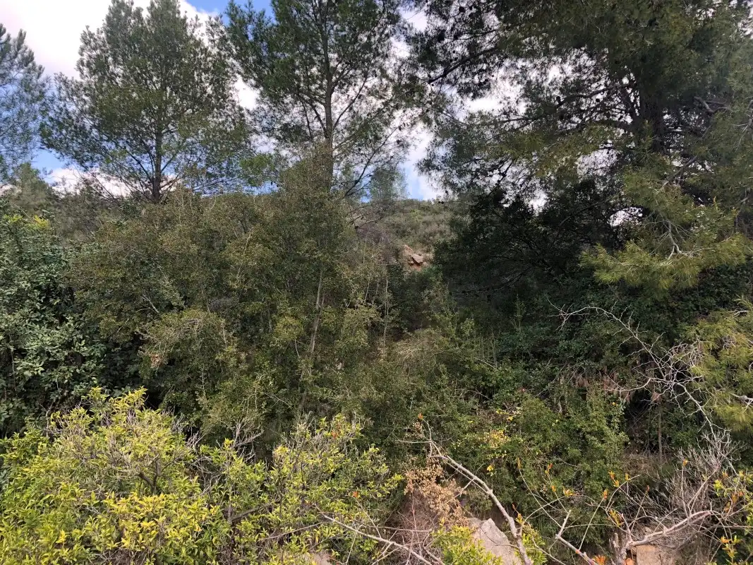 Finca rústica en venda en Vilallonga / Villalonga