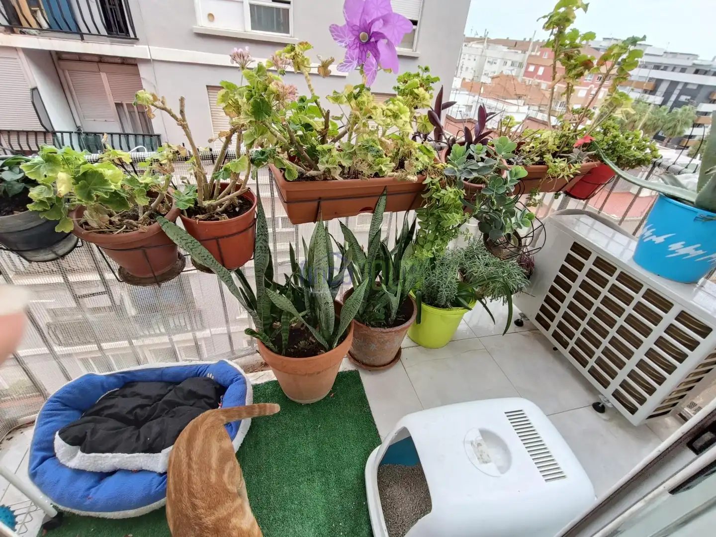 Flat with terrace for sale in Este, imagen 7