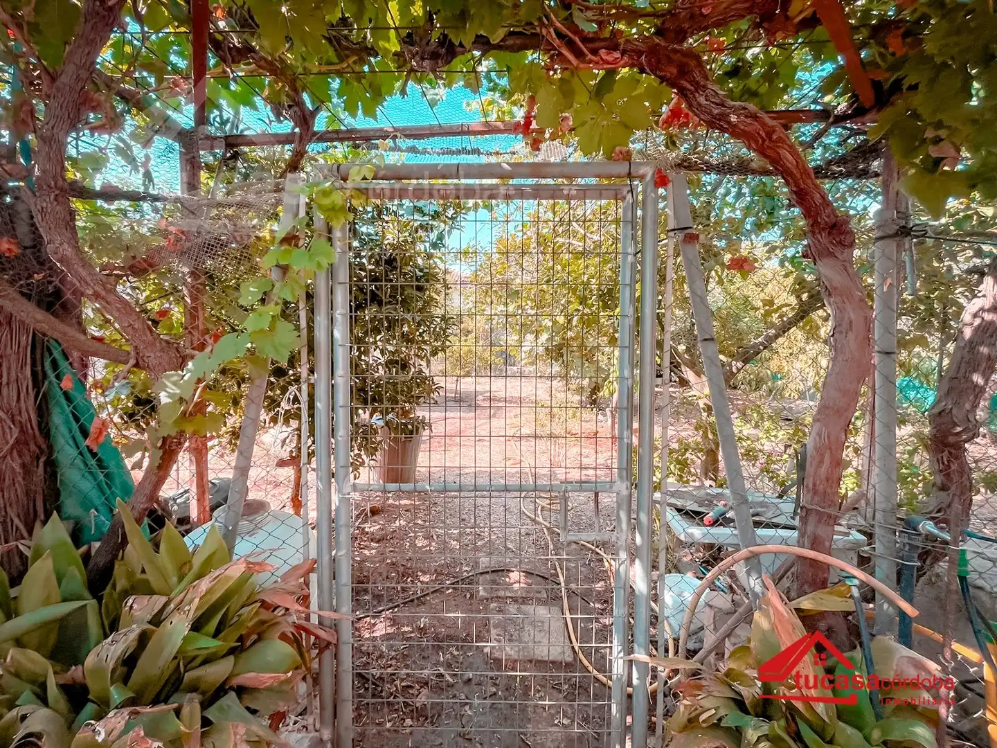 Maison rustique avec piscine à vendre à Periurbano Oeste - Sierra, imagen 14