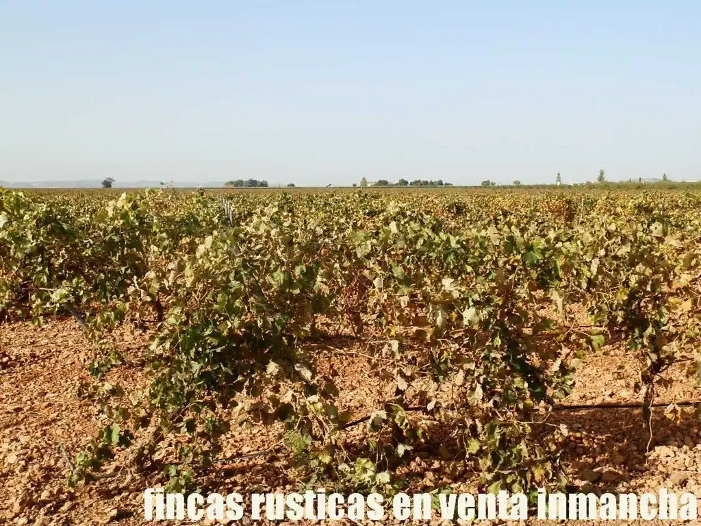 Terrenys i solars en venda a Almagro, imagen 15