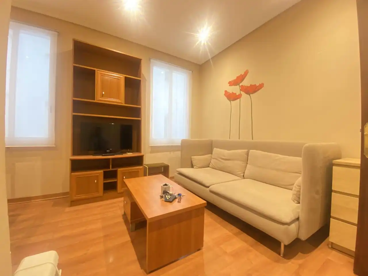 Living room of Flat for rent in Madrid  with Heating, Furnished and Internet