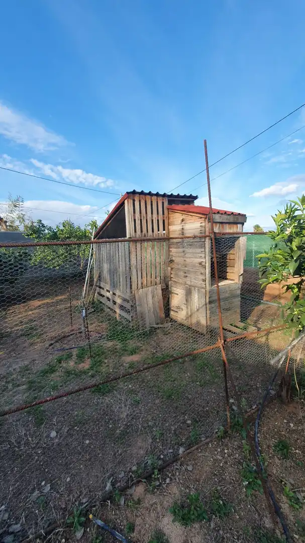 Vista exterior de Casa o chalet en venta en L'Alcúdia de Crespins con Piscina