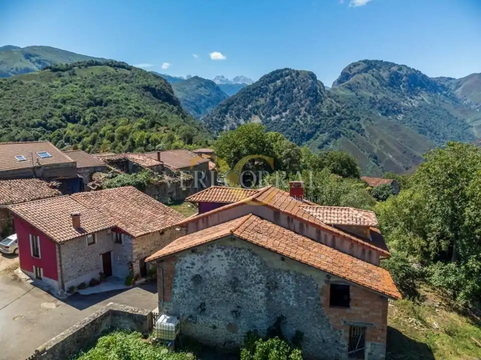 Vista exterior de Casa adosada en venda en Peñamellera Alta amb Calefacció