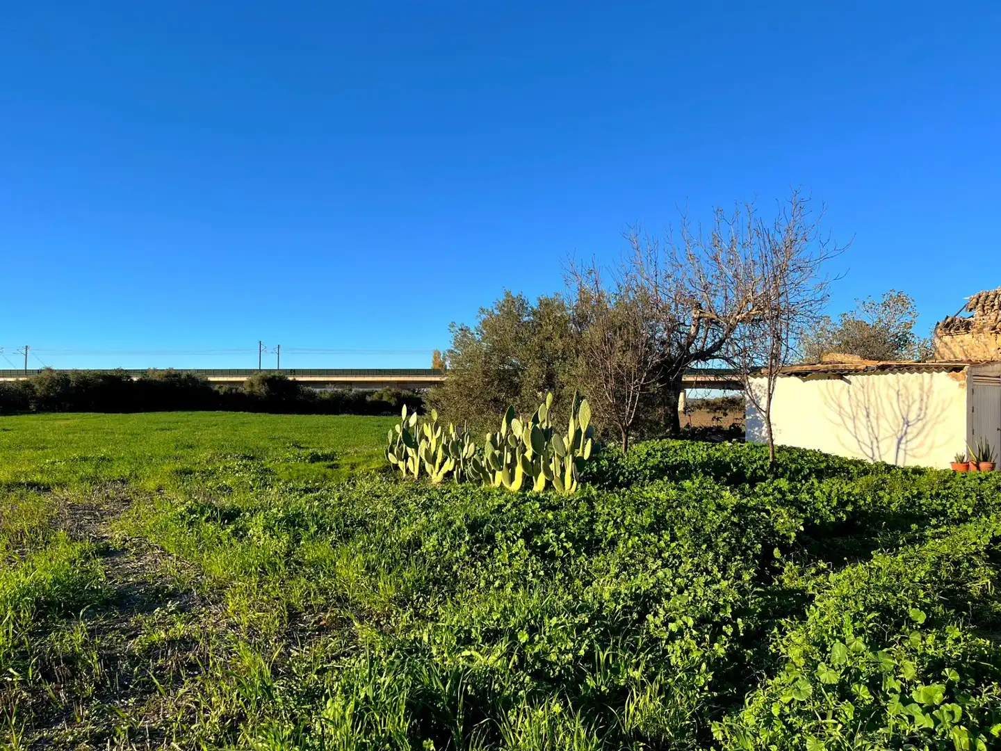 Houses for sale in Antequera