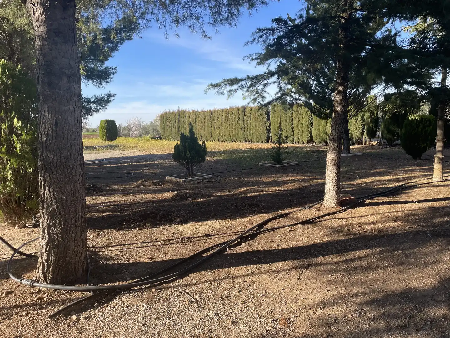 Chalet con jardín en venta en CM-3109 1, imagen 11