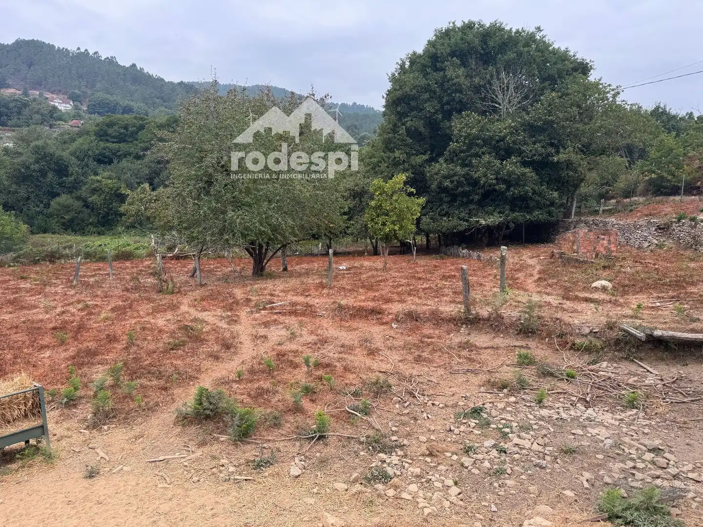 Houses for sale in Cortegada