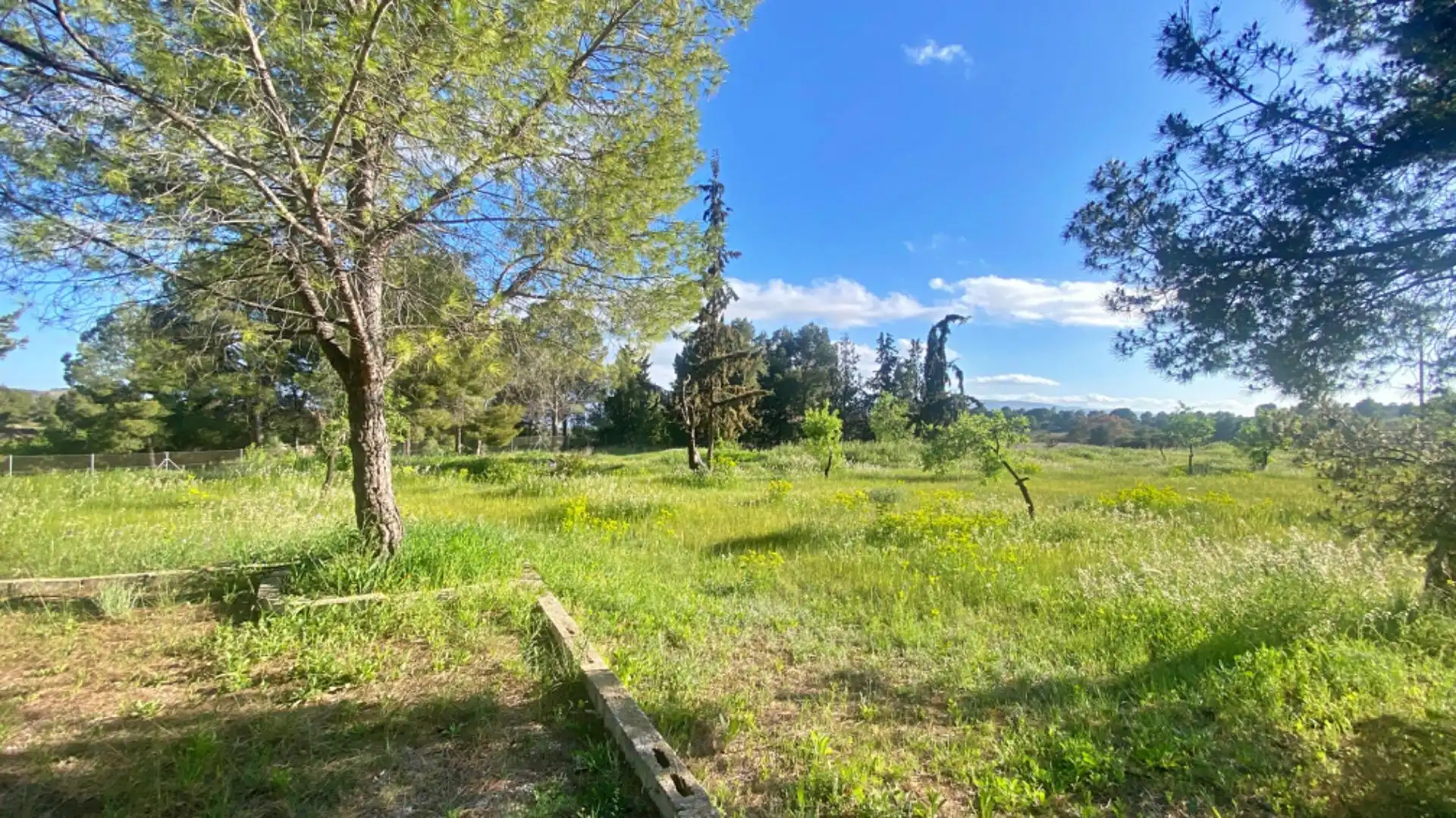 Casa o xalet en venda en Totana amb Jardí privat i Moblat