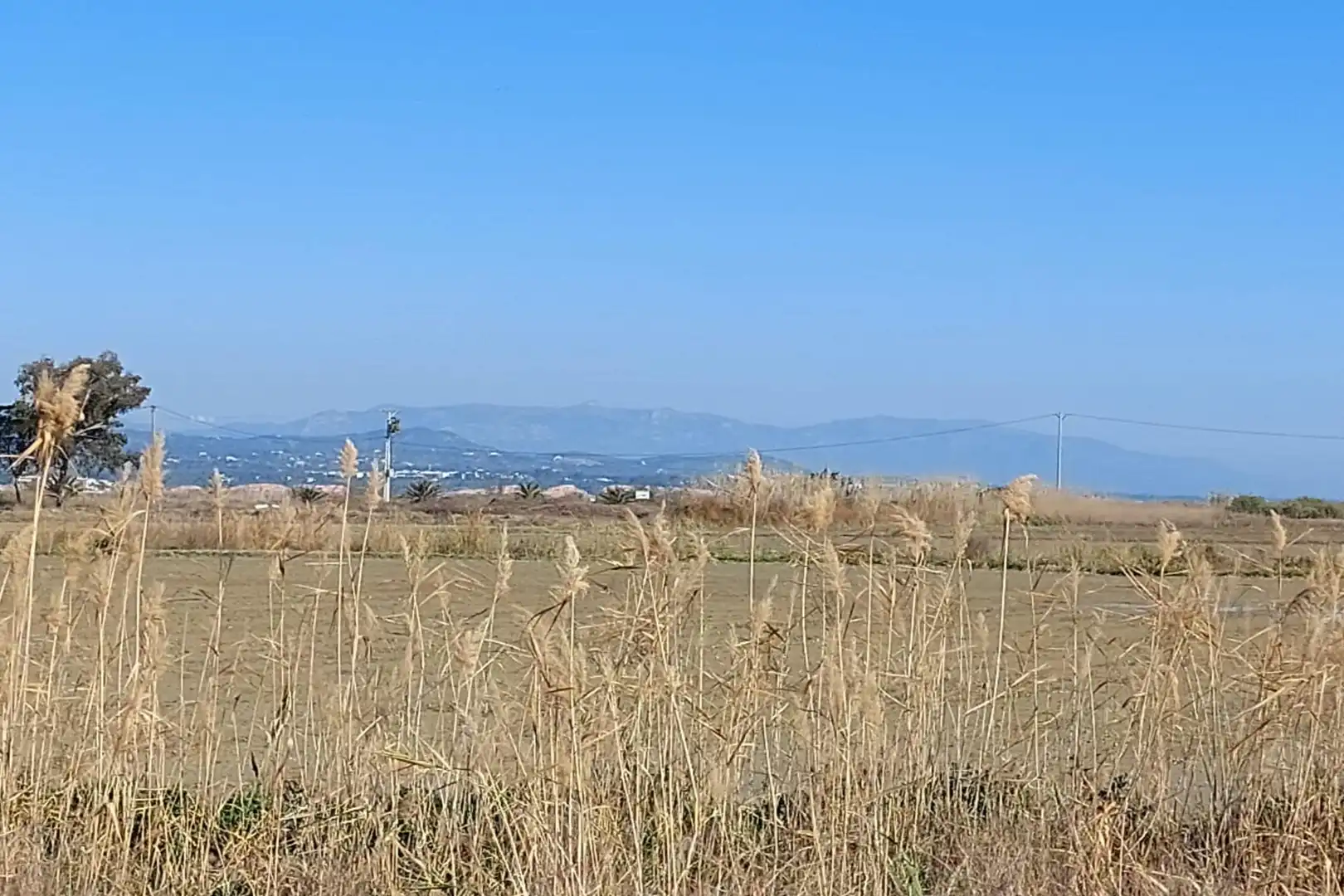 Country homes for sale in L'Ampolla  with Private garden