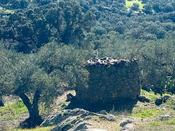 Terreni e lotti in vendita a Calle Hernán Cortés 1