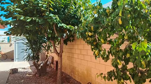 Foto 5 de Casa o xalet en venda a La Romana, Alicante