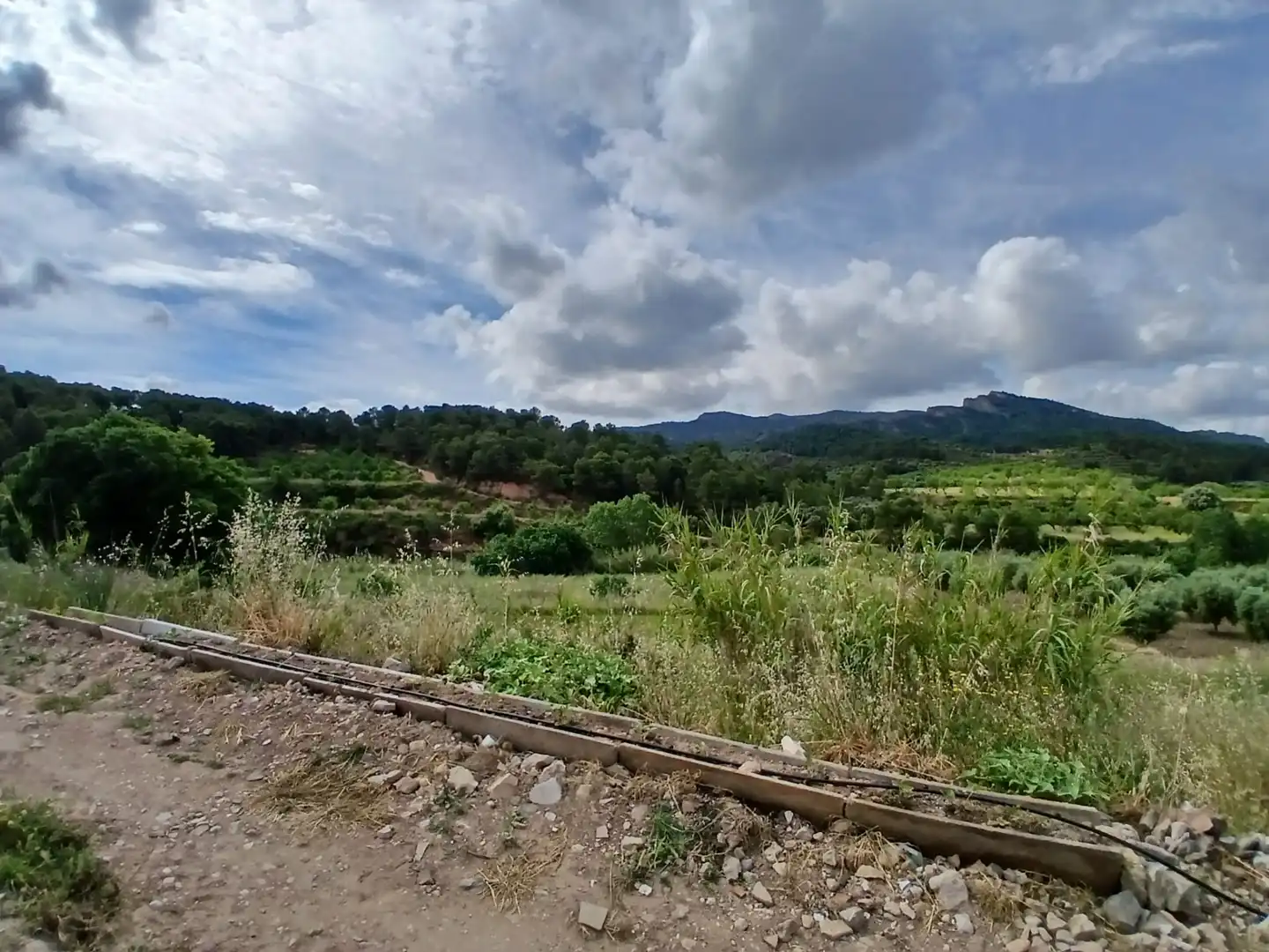 Rural land for sale in Corbera d'Ebre, imagen 10