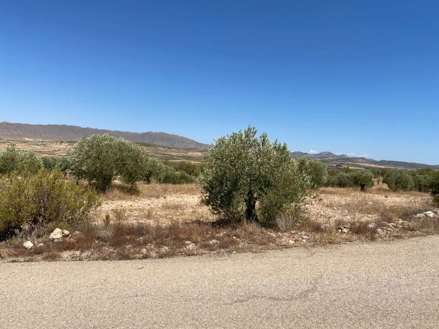 Rustikales Grundstück zum Verkauf in Jumilla, imagen 3