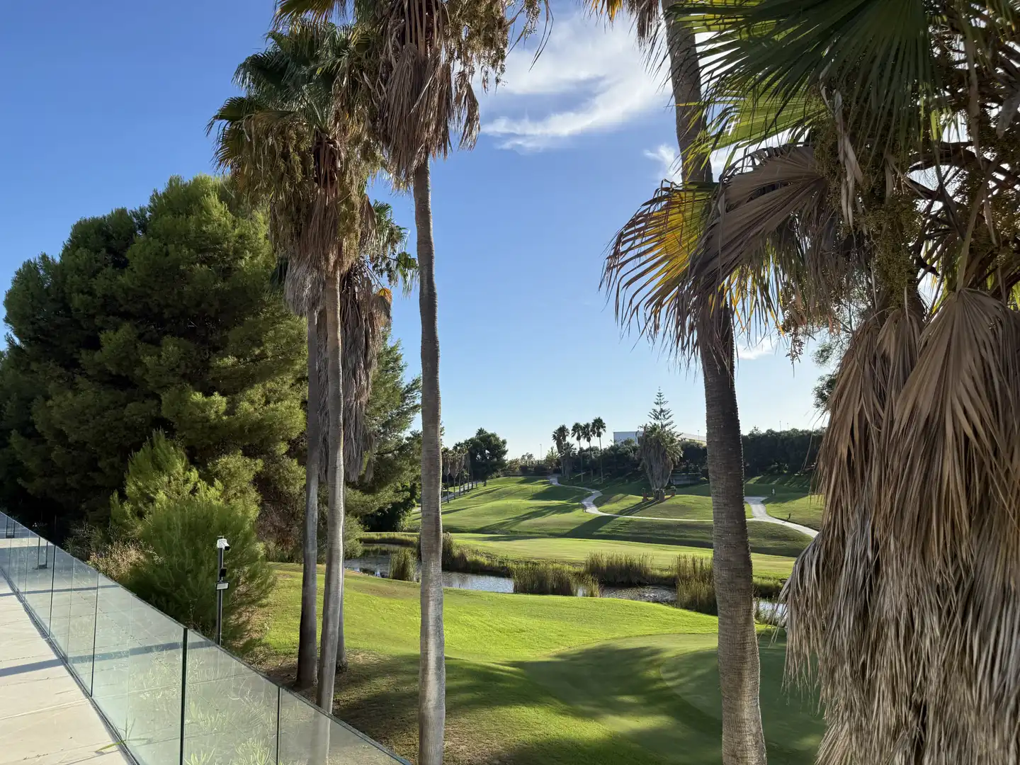 Ground floor for rent in Bahía de Marbella