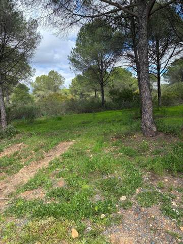 Terreno residencial en Venta en Dehesa - Monacilla