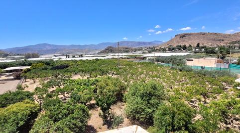 Foto 4 de Finca rústica en venda a Berja, Almería