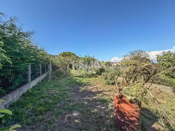 Casa con jardín en venta en Avenida Paseo Portugal, imagen 7