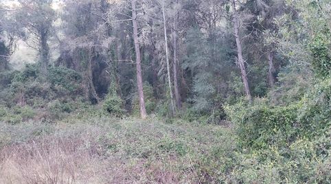 Terreno en pozo Adria Barx, immagine 4