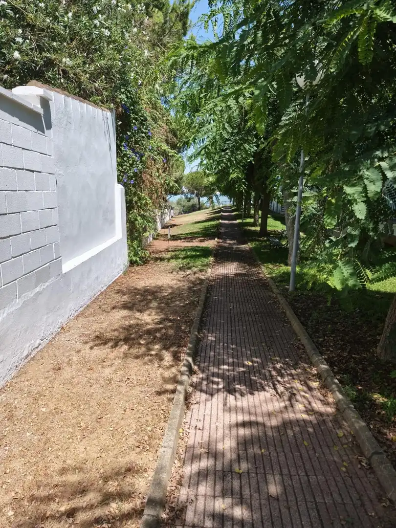 Wohnung zur Miete in La Jara