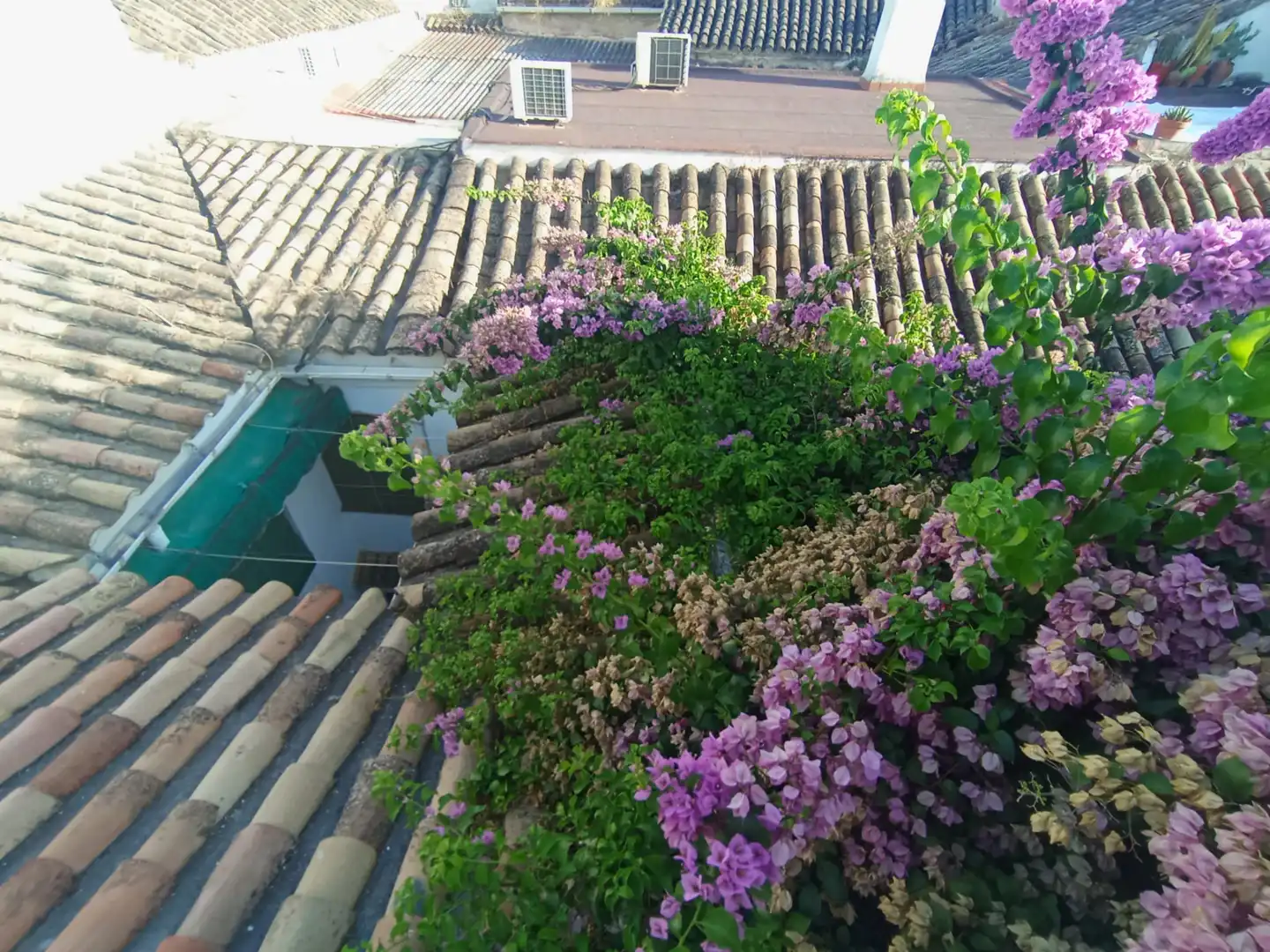 Terraza de Casa o chalet en venta en Córdoba