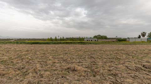 PARCELA RÚSTICA DE 3.500 M2 EN SANTA FE, immagine 4