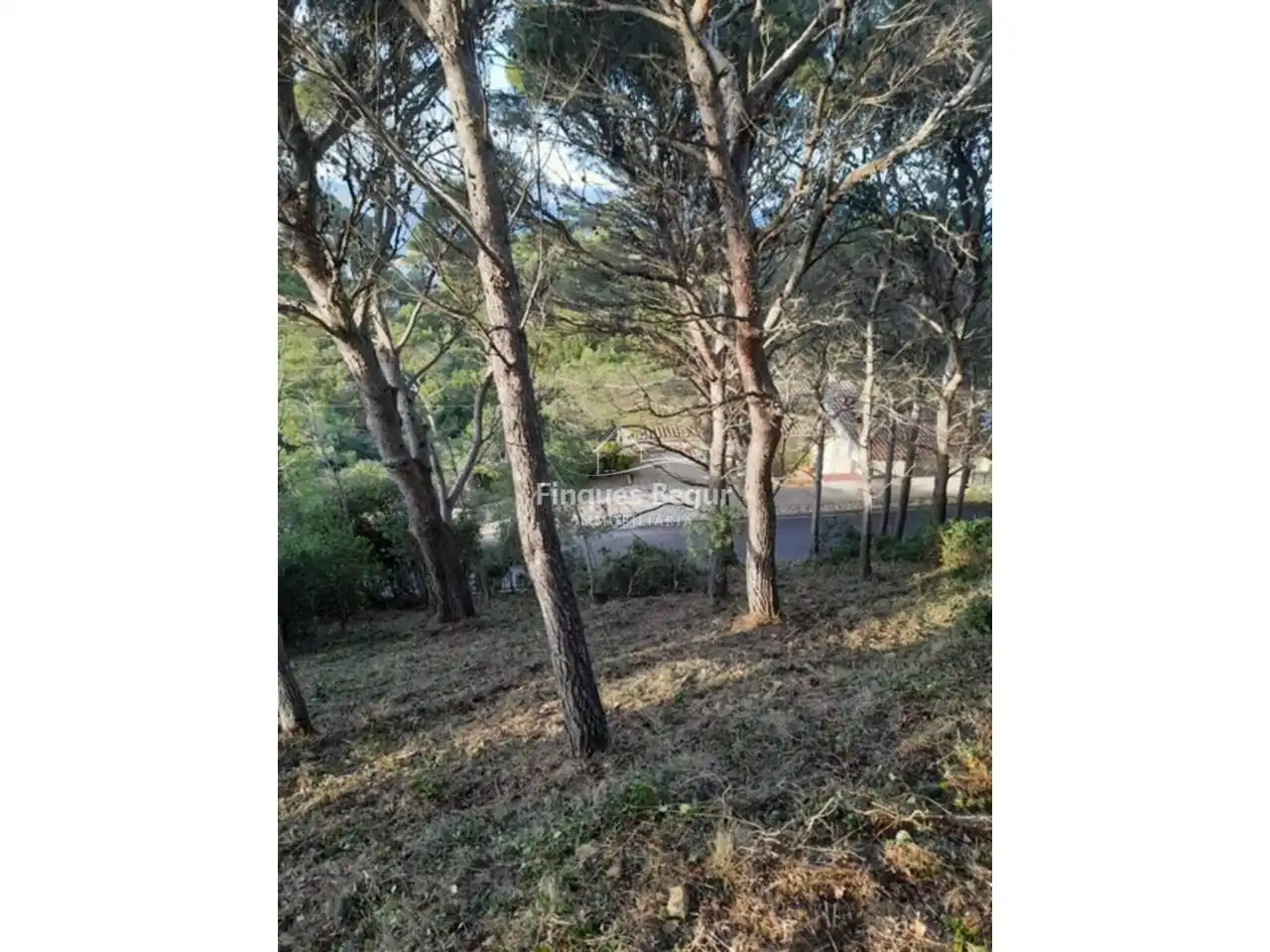 Residential for sale in Begur