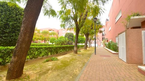 Photo 4 of Detached homes for sale in El Cano - Los Bermejales, Sevilla Capital