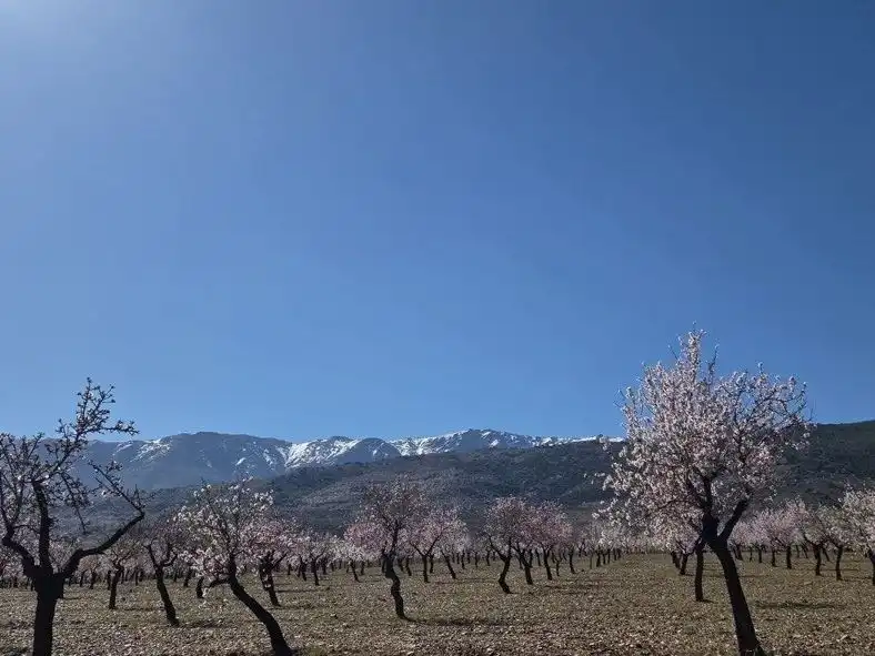 Außenansicht von Grundstücke zum Verkauf in Abrucena