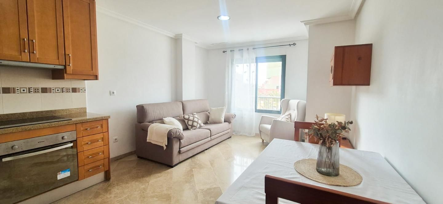 Sala d'estar de Pis en venda en Elche / Elx amb Moblat i Piscina comunitària