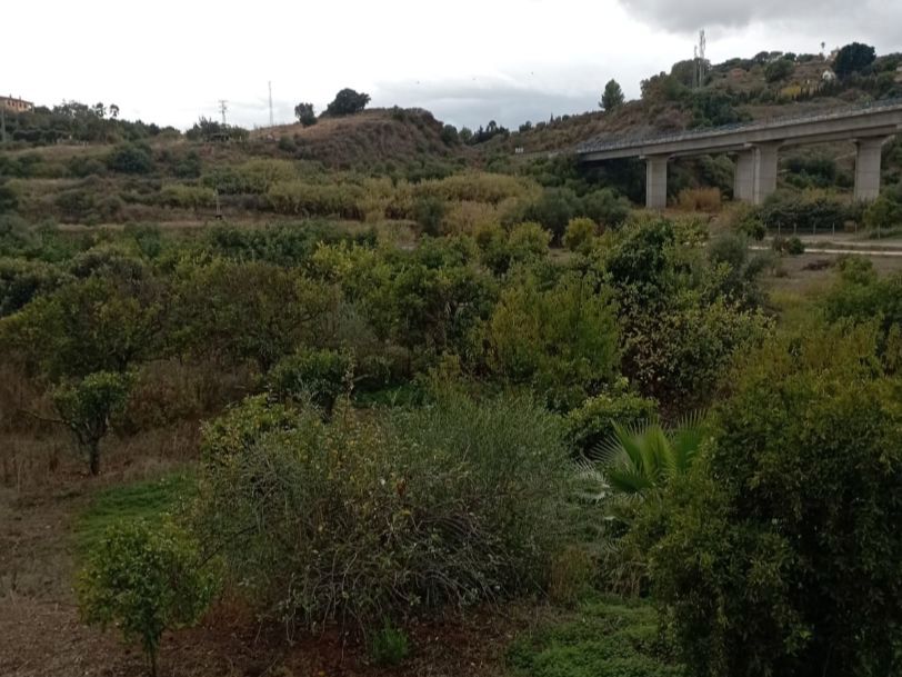 Land for sale in Estepona