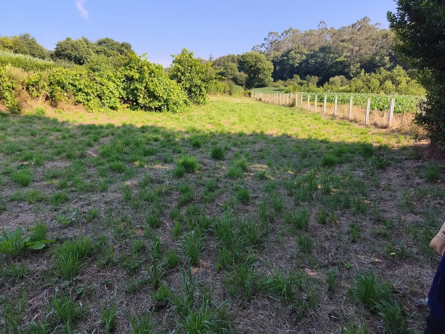 Casa o xalet en venda en Vilarmaior amb Jardí privat, Terrassa i Traster