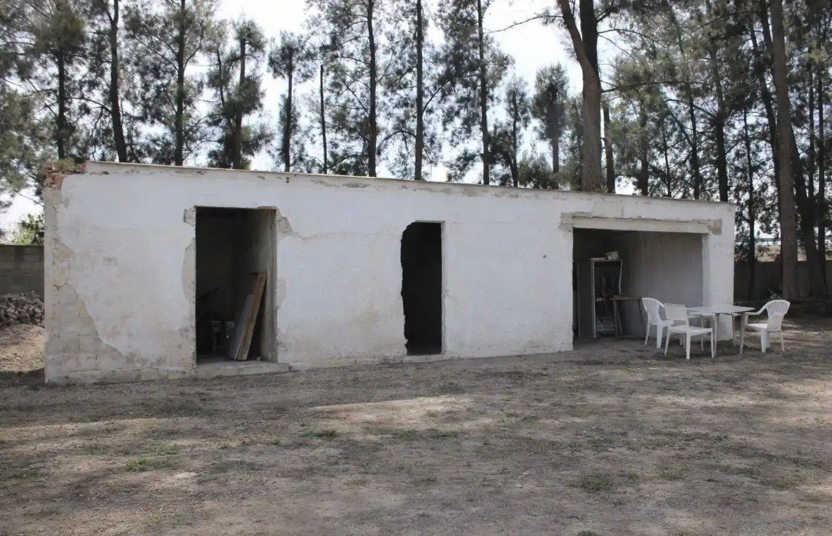 Vista exterior de Finca rústica en venda en Oliva