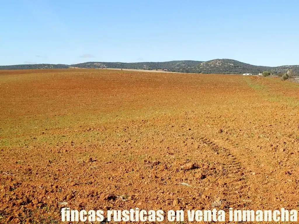 Terreno rustico in vendita a Centro - Plaza Mayor, imagen 4
