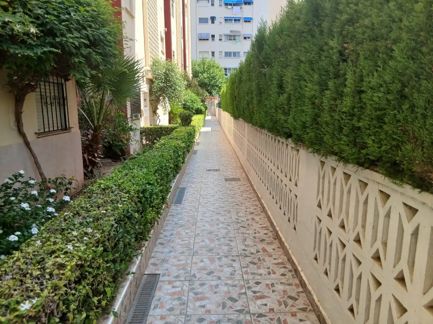 Vista exterior de Estudio de alquiler en Gandia con Aire acondicionado, Amueblado y Alarma