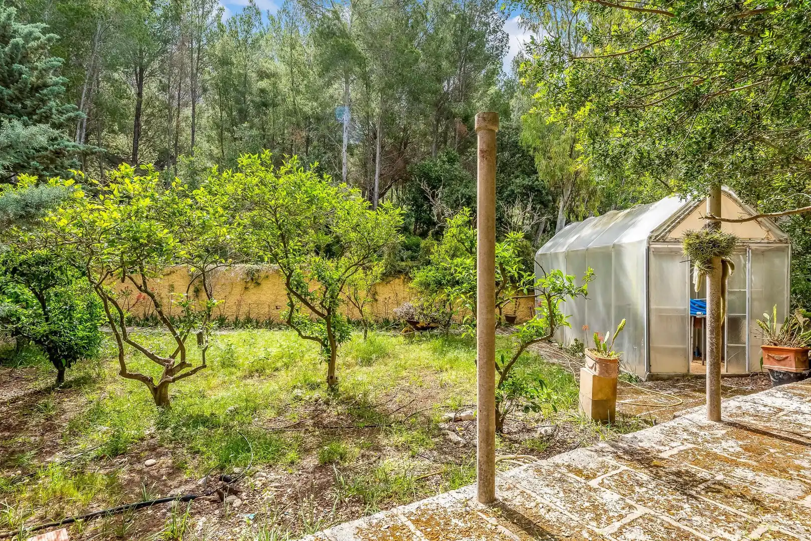 Jardí de Casa o xalet en venda en Artà amb Aire condicionat, Calefacció i Jardí privat