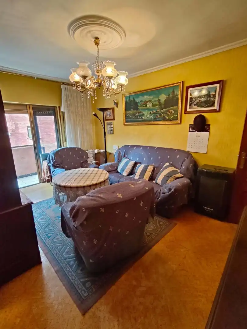 Living room of Flat for sale in Valladolid Capital