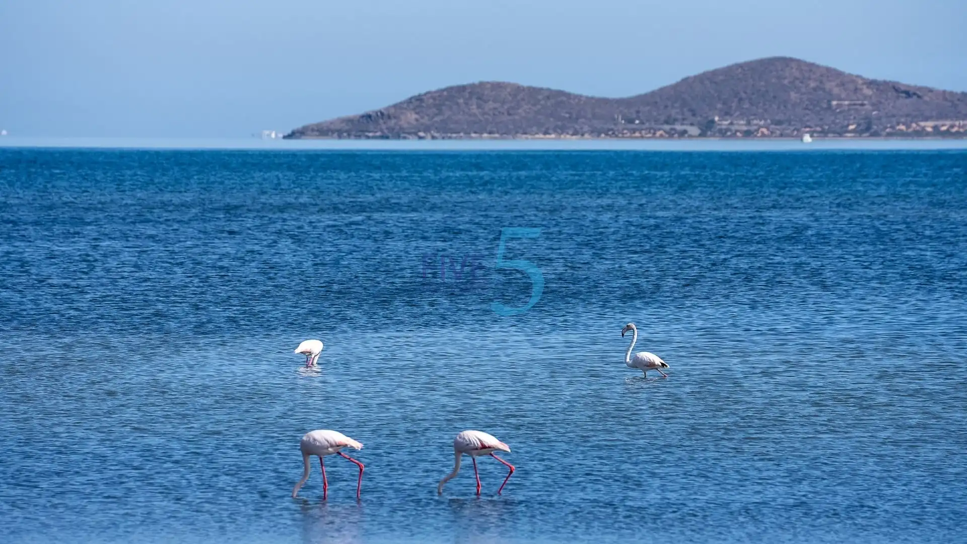 Casa con piscina en venta en Mar Menor de Cartagena – Cabo de Palos, imagen 39