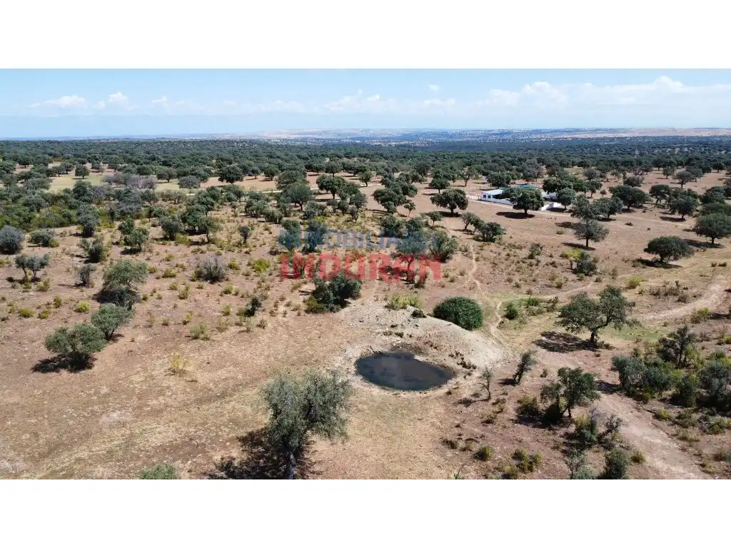 Finca rústica en venda en Villar del Pedroso