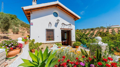 Foto 3 de Finca rústica en venda a Ardales, Málaga