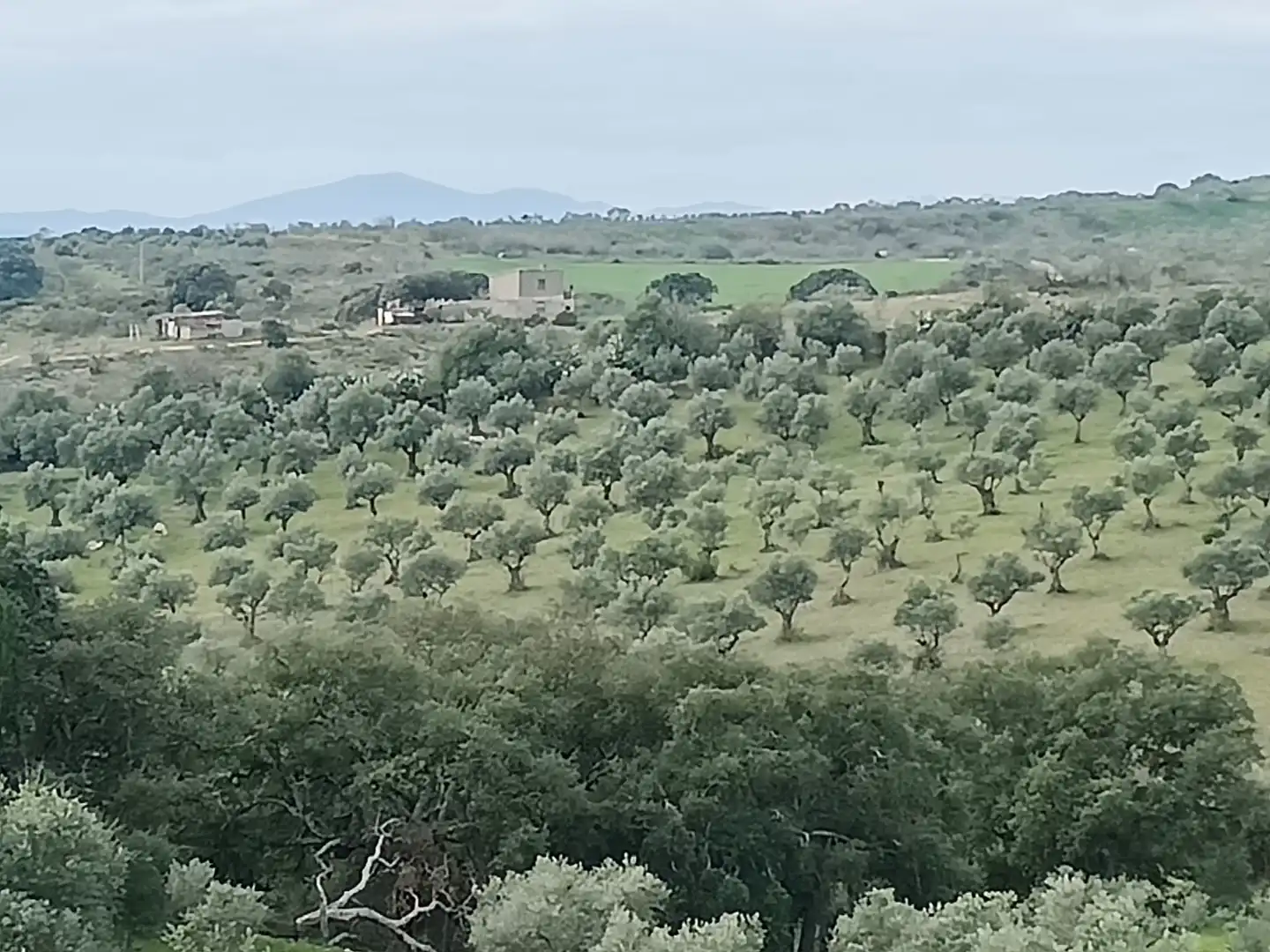 Terreni e lotti in vendita a N/A, imagen 4