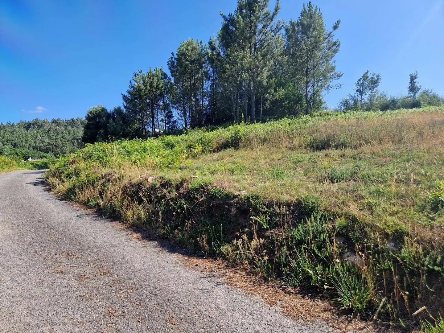 Lands and plots for sale in Brión, imagen 7