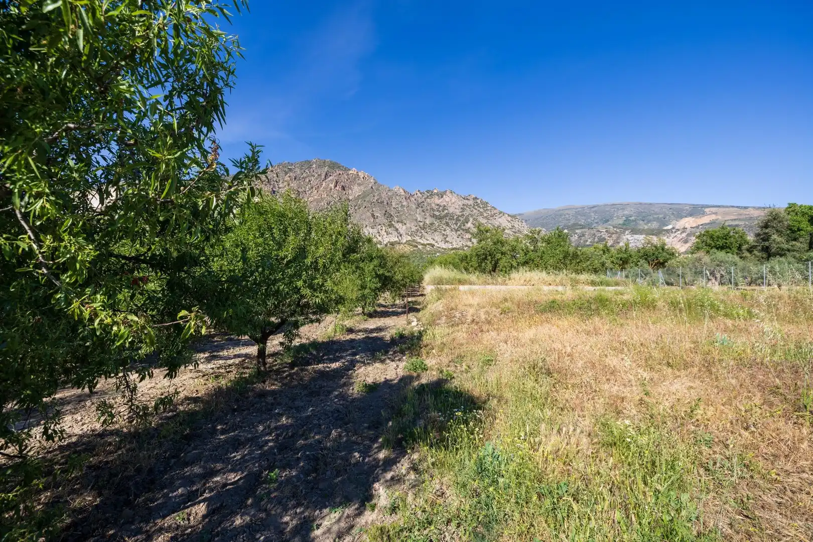 Rural land for sale in Dúrcal, imagen 19
