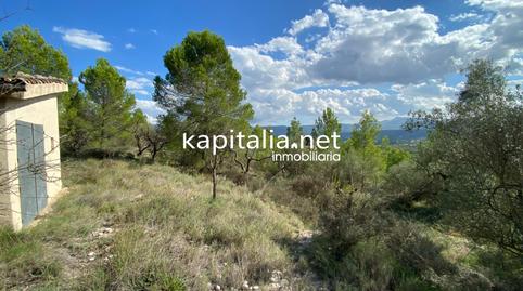 Photo 3 of Land for sale in Millena, Alicante