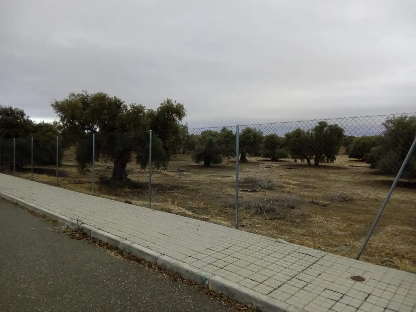 Terreno residencial en venta en Calle Rosalia de Castro 5D, imagen 3