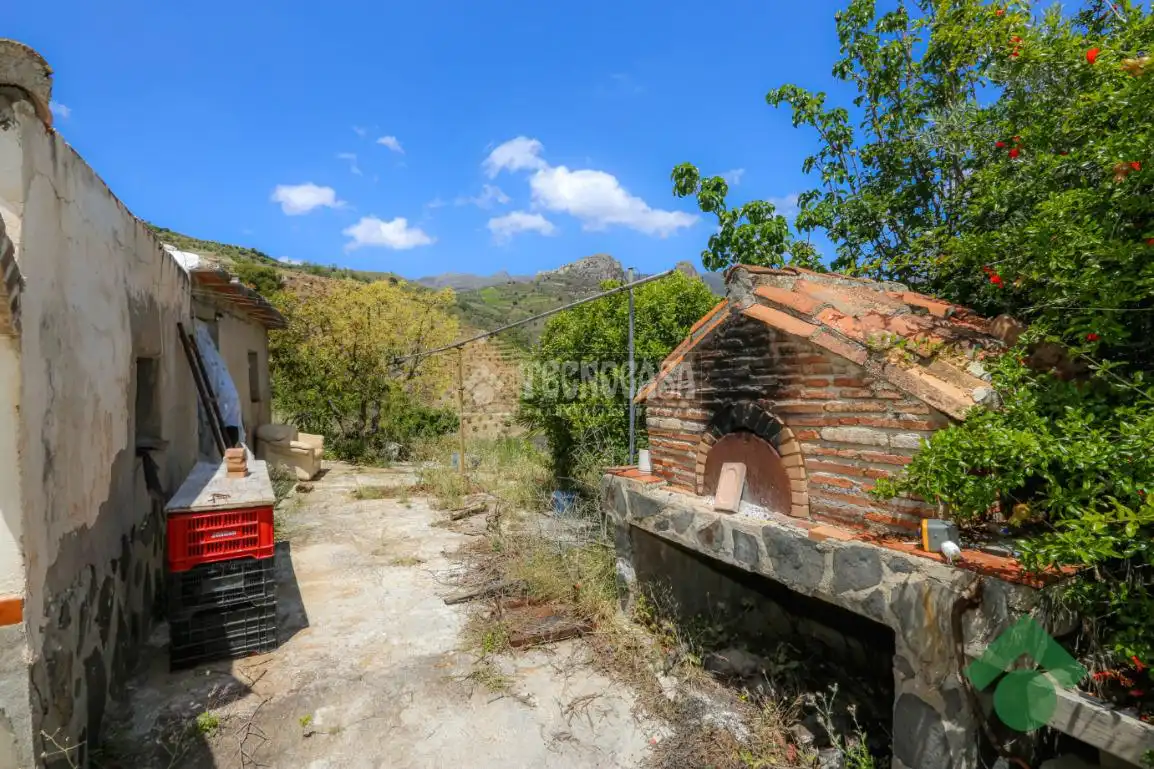 Vista exterior de Finca rústica en venta en Almuñécar
