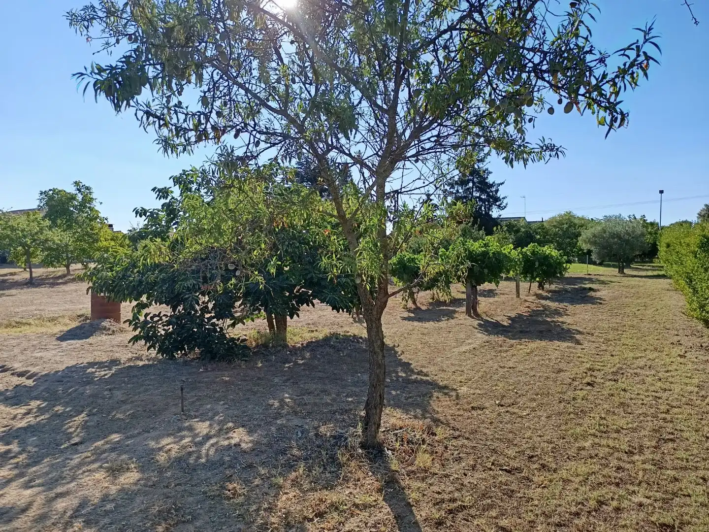 Houses for sale in Valdunciel  with Terrace and Swimming Pool